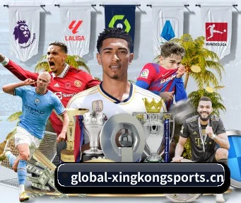 星空体育app APP（XINGKONG SPORTS）
